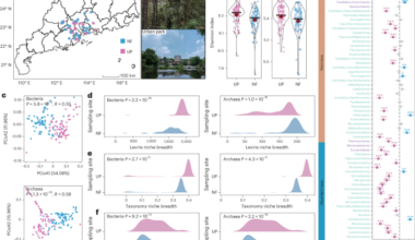 The trade-off between microbial functionality and evolutionary flexibility under urbanization