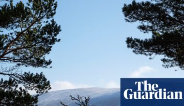 BrewDog sold highland estate for knockdown price after abandoning reforestation plans | BrewDog