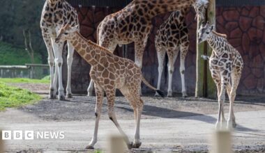 It's So Loud In Here!