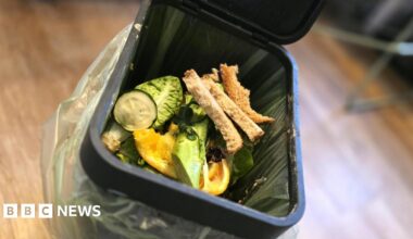 Food waste caddies being sent to 60,000 homes in Stafford borough