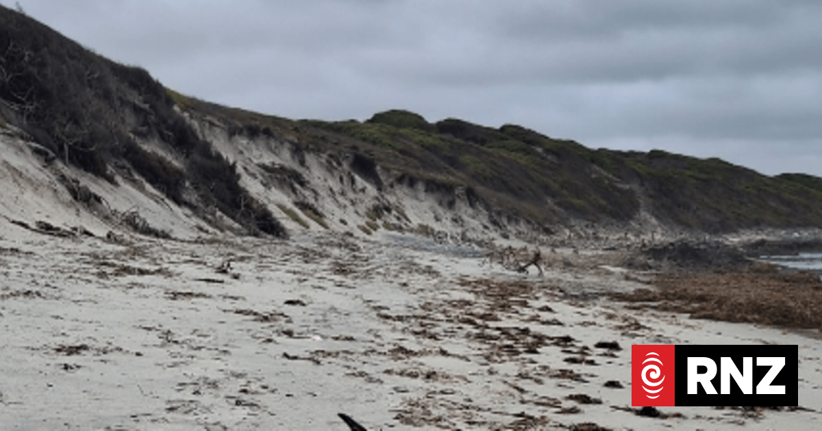 Antarctic penguin appears on remote WA beach, 4000km from home