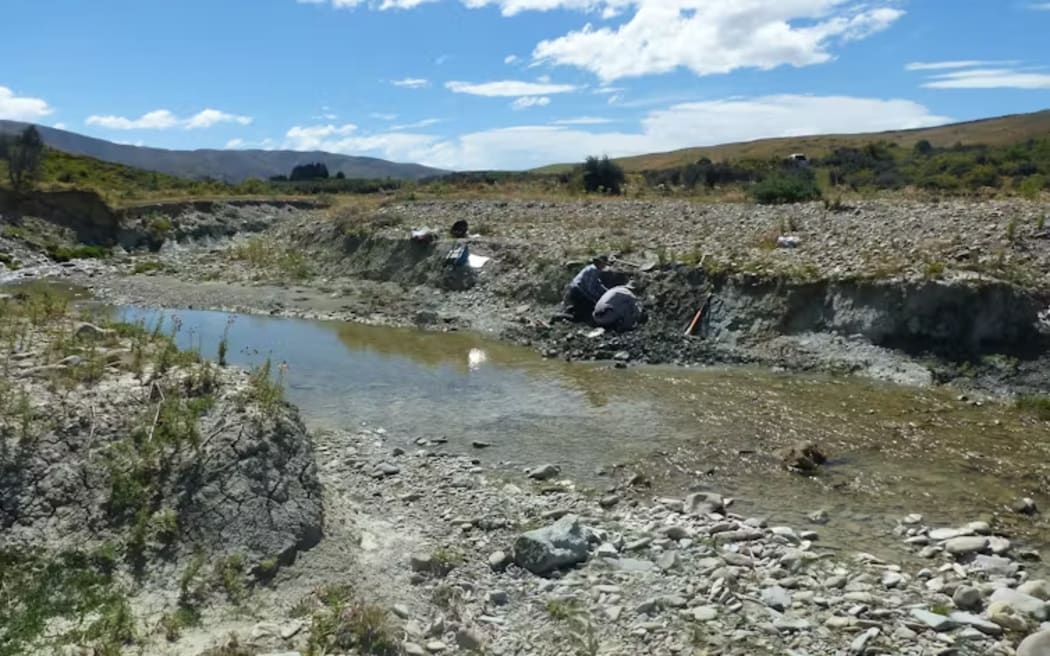 The ancient lake mud around St Bathans, Otago, is a rich source of fossils that give palaeontologists unique insights into Zealandia’s past biodiversity. Alan Tennyson/Museum of New Zealand Te Papa Tongarewa