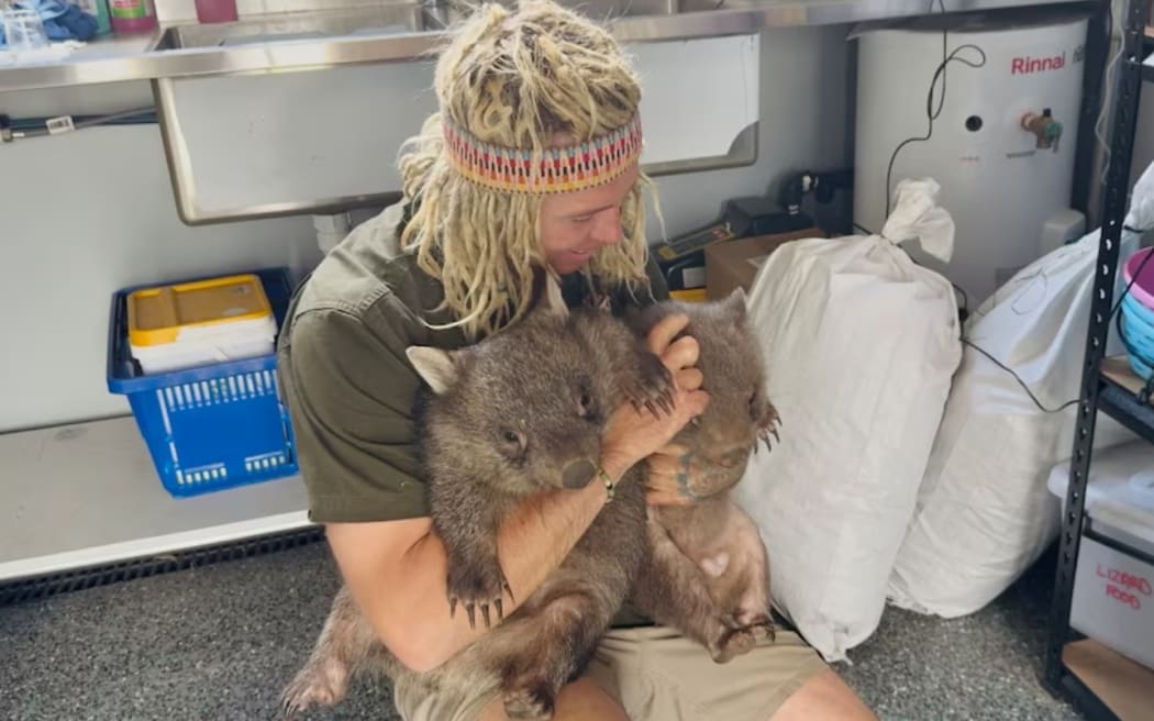 Josh Neille also cares for many other animals, including wombats.