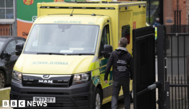 The northern lights shining bright in the night sky with bright green colours in the lower part of the sky and purples higher up