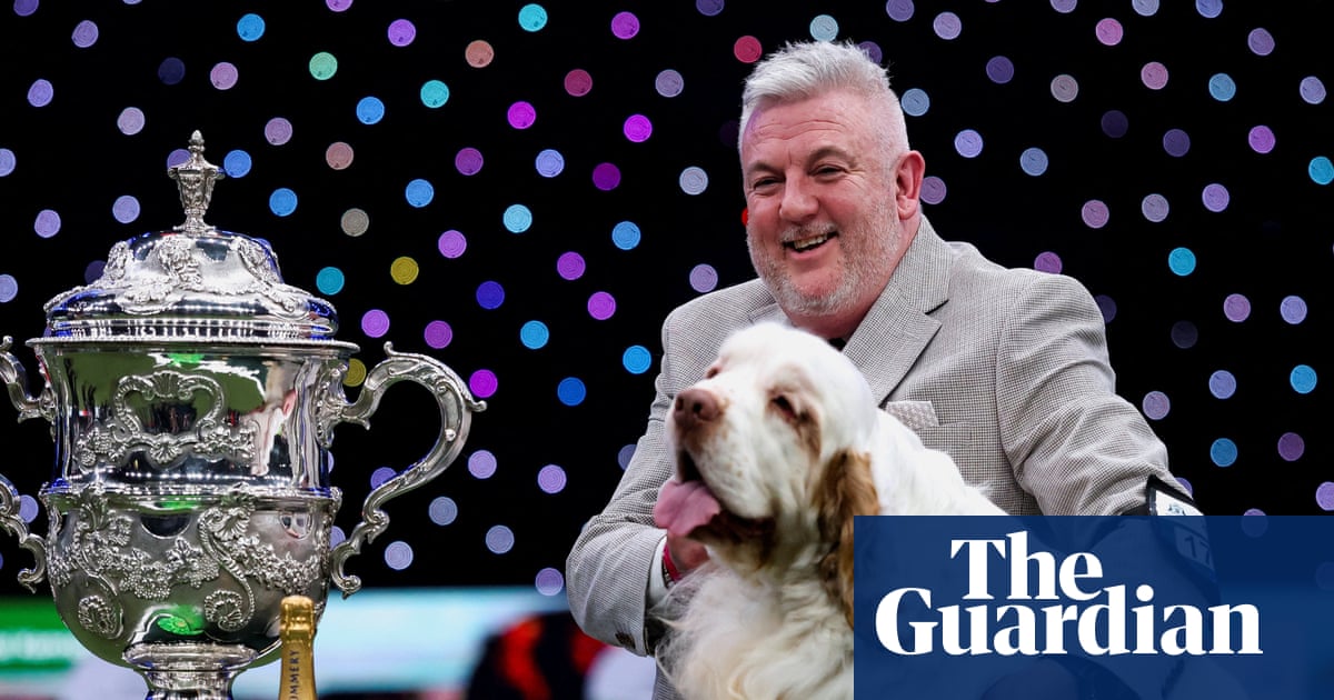 Crufts winner’s animal cruelty conviction prompts complaints to Channel 4 | Crufts
