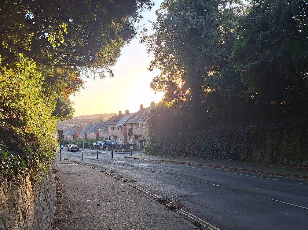 546927624_1307280187592972_1247548906654274715_n