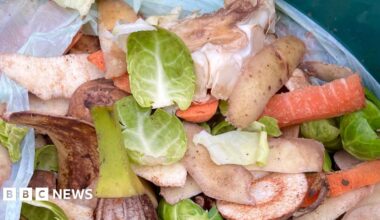 Colourful vegetable peelings in a food waste bag with brussels sprouts, potato skins, carrots and the core of a white cabbage. The bag is white and made of plastic.