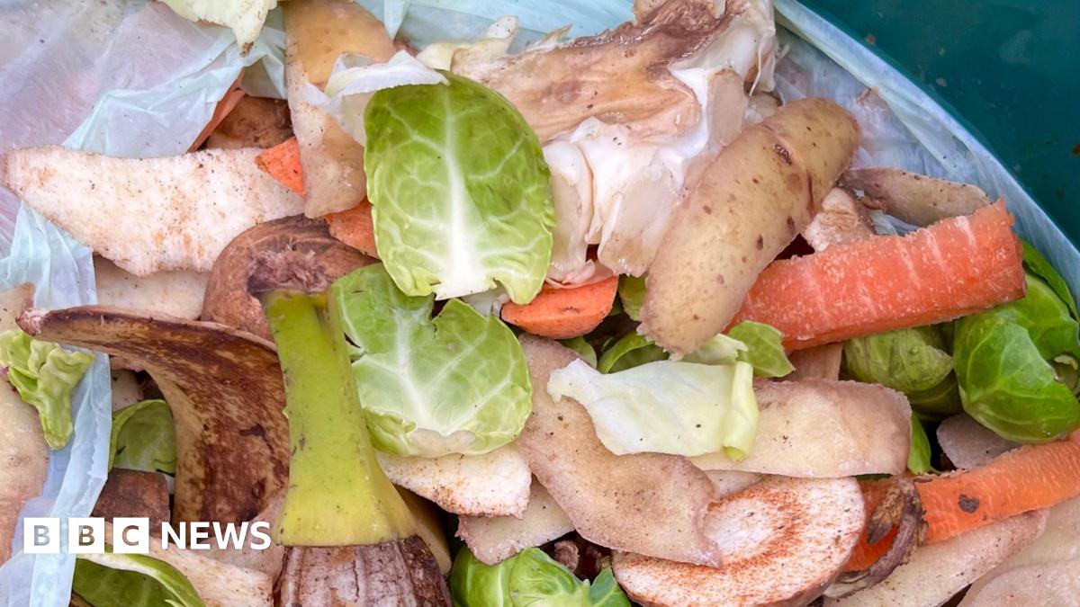Colourful vegetable peelings in a food waste bag with brussels sprouts, potato skins, carrots and the core of a white cabbage. The bag is white and made of plastic.