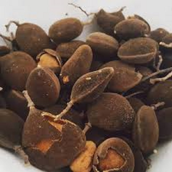 Exploring the health benefits of velvet tamarind, nature's gift to Ghana