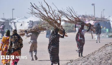 Women carrying firewood at Al Afad camp which hosts displaced people from the Darfur and Kurdufan regions