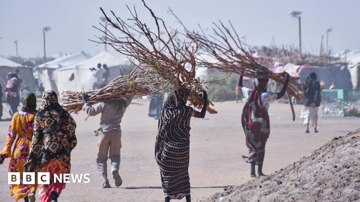 Women carrying firewood at Al Afad camp which hosts displaced people from the Darfur and Kurdufan regions