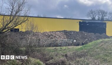 A woman with dark hair and a multiple colour jumper siting on a green sofa inside her living room.