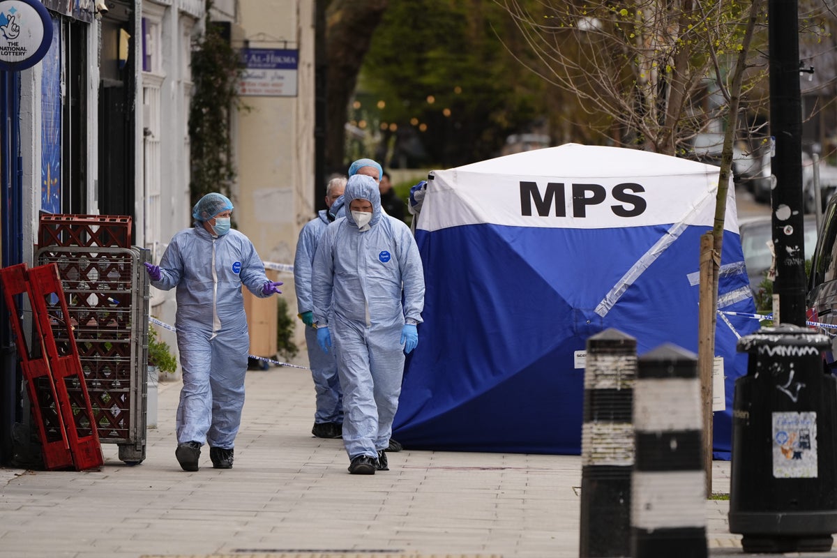 Euston shooting: Police hunt bike-riding gunman after man shot dead in car in central London