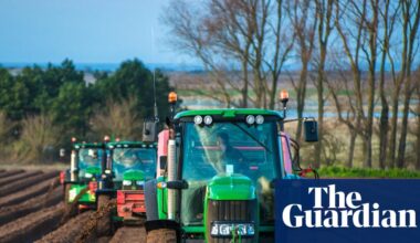 Global food supplies could be badly hit if Iran war drags on, says fertiliser boss | US-Israel war on Iran