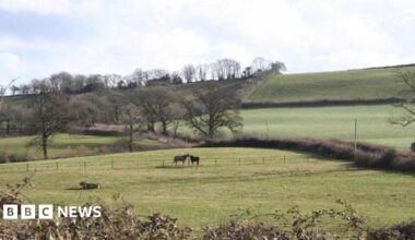 A scenic shot of the Duchy of Cornwall Bradninch estate, near Cullompton. There are a few horses in the distance and some trees and lots of green fields.