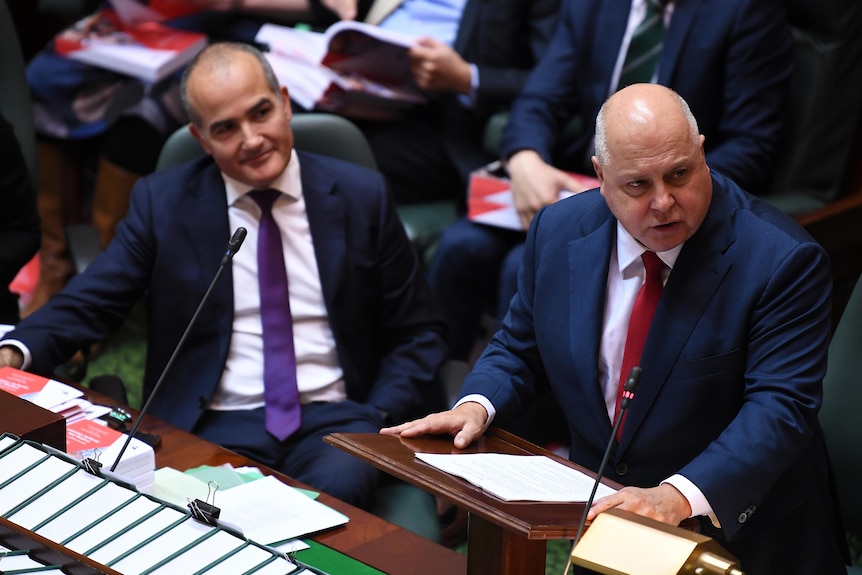 Tim Pallas speaks in Parliament, with acting Premier James Merlino out of focus behind him.