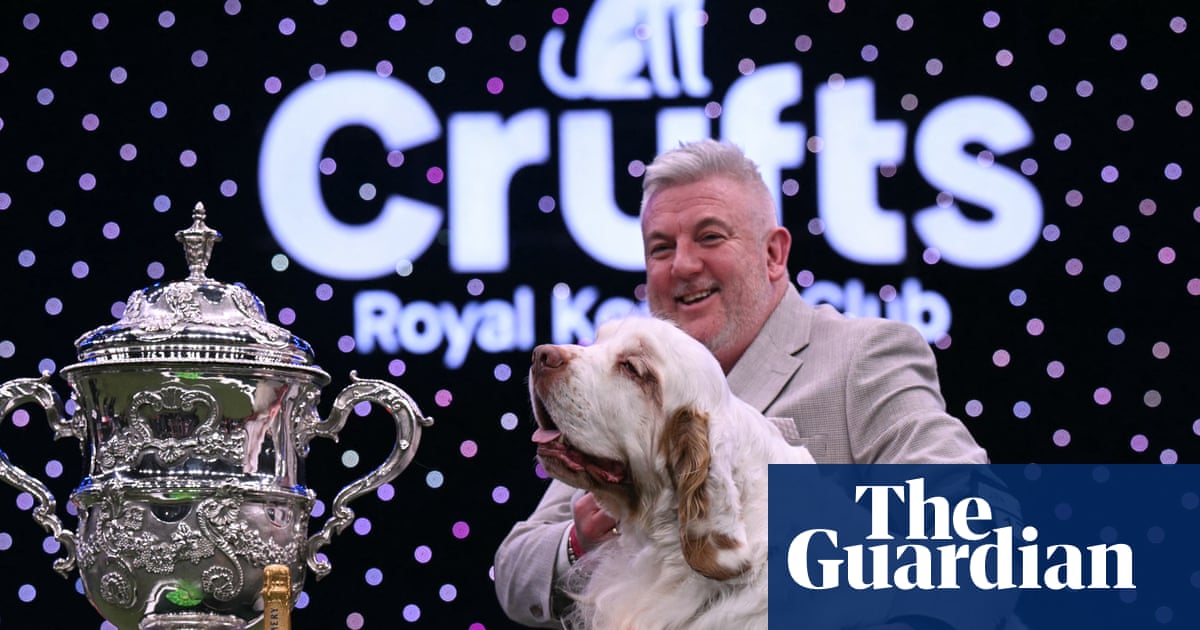 Four-year-old clumber spaniel called Bruin wins best in show at Crufts | Crufts