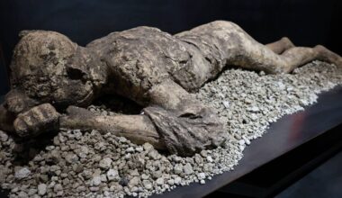 'Lost Pompeii' found in ground-breaking archaeological discovery | Science | News