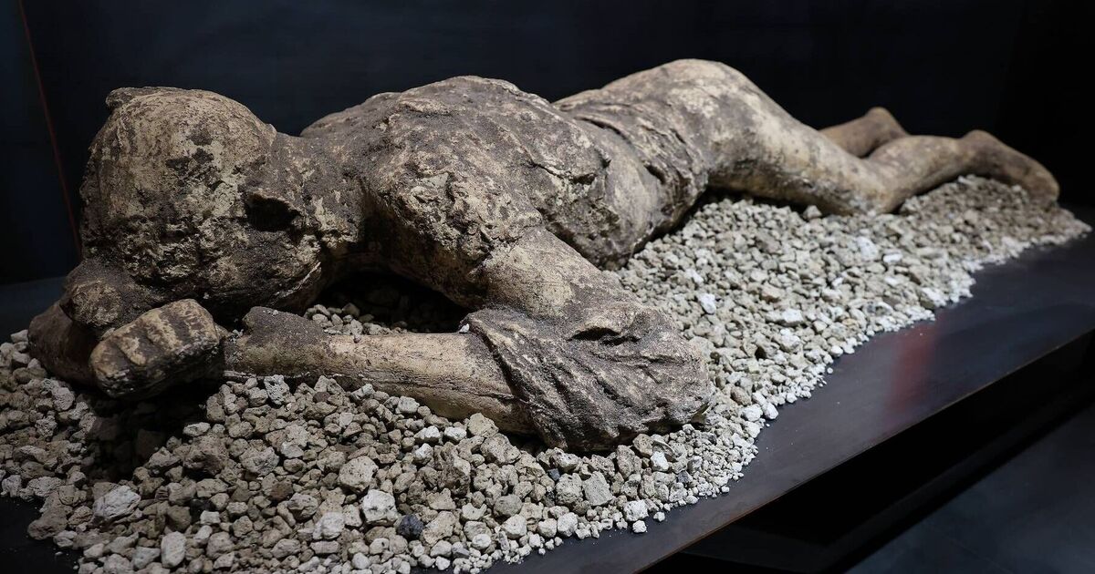 'Lost Pompeii' found in ground-breaking archaeological discovery | Science | News