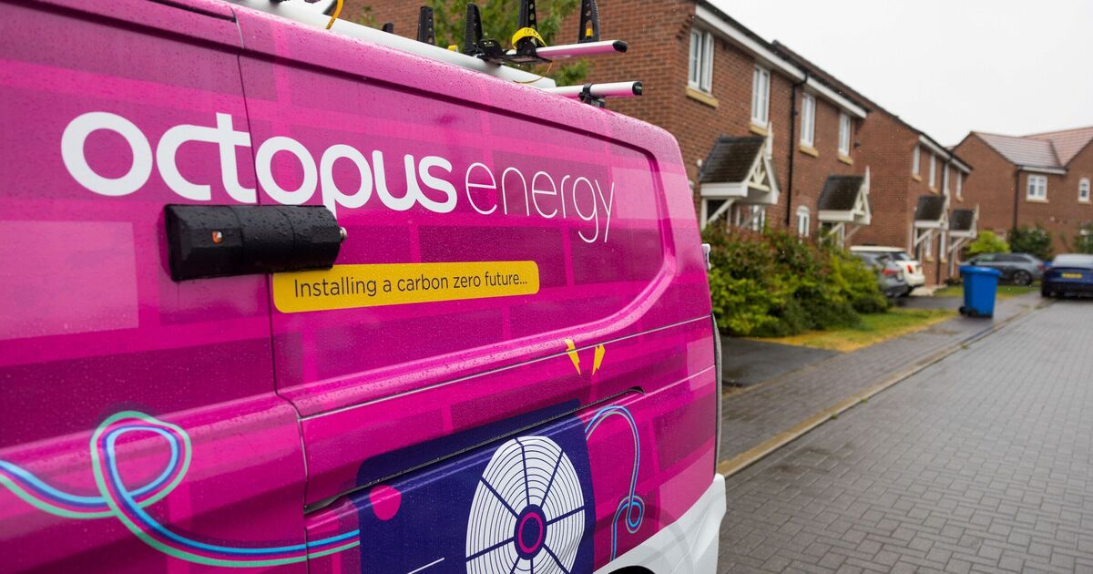 Octopus Energy issues £200 warning as customers given ‘good news’ | Personal Finance | Finance