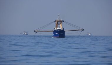 Fishing row explodes as EU supertrawlers scour Scottish waters | UK | News