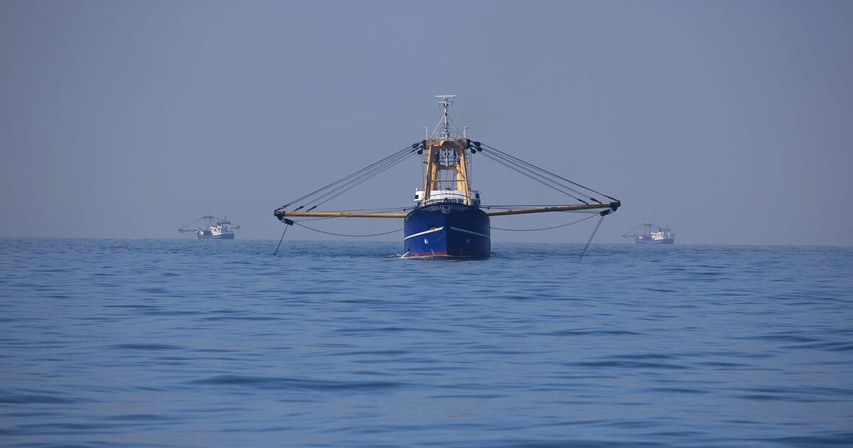 Fishing row explodes as EU supertrawlers scour Scottish waters | UK | News