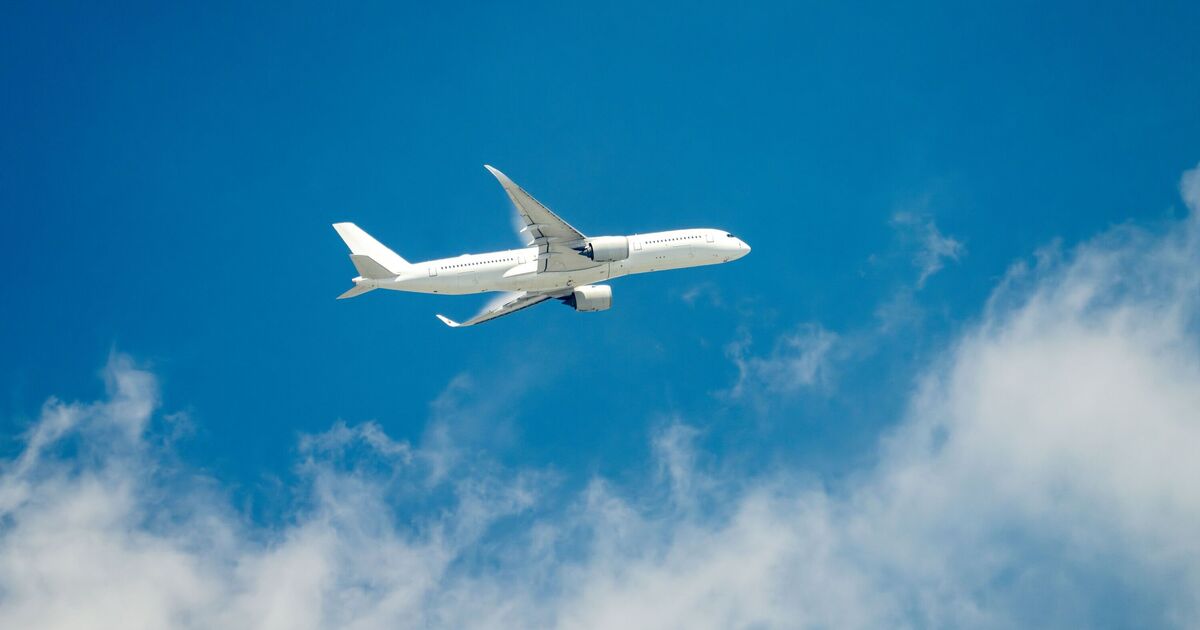 Major airlines collapse into liquidation as all flights cancelled - in business since 2002 | UK | News