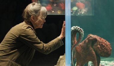 Netflix drops trailer for film based on 'best book I've ever read' | Films | Entertainment