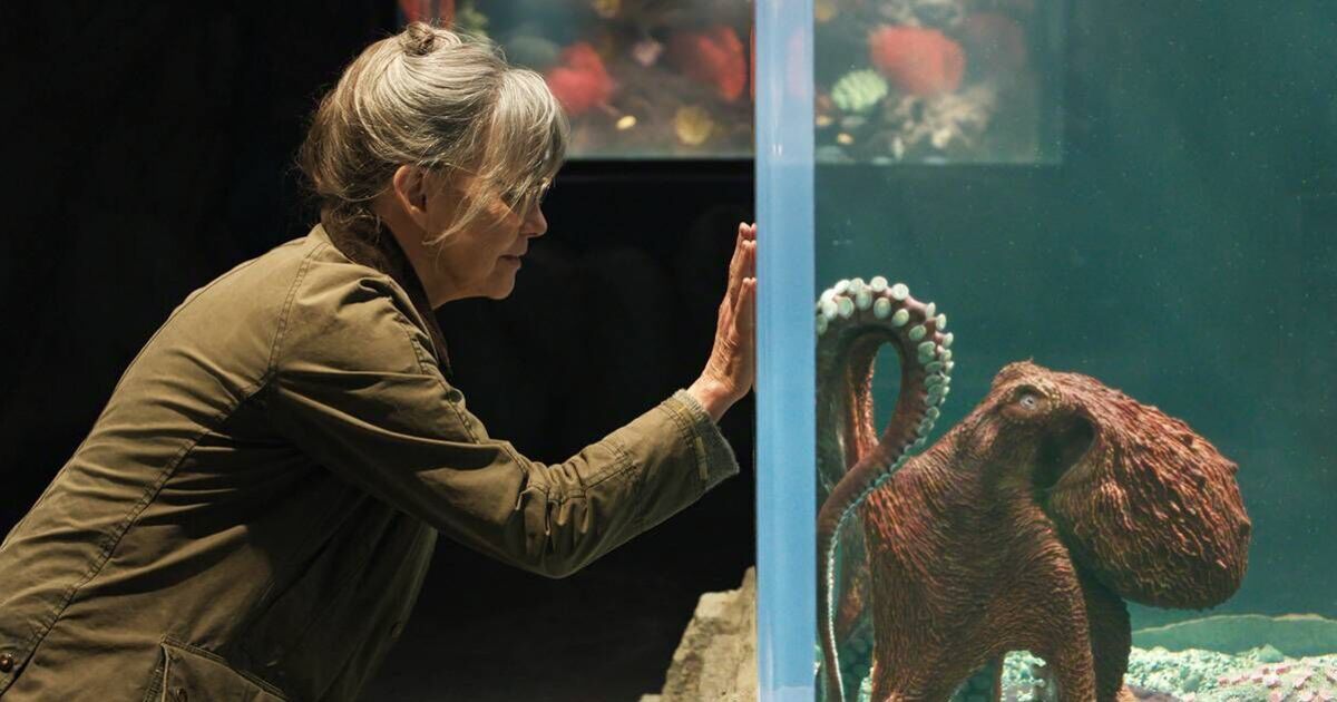 Netflix drops trailer for film based on 'best book I've ever read' | Films | Entertainment