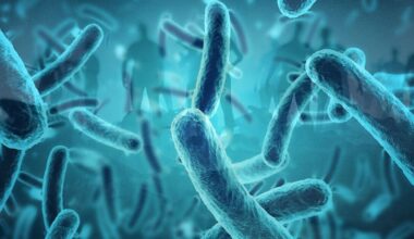 Millions at risk from killer 'zombie cells' - only one way to stop them