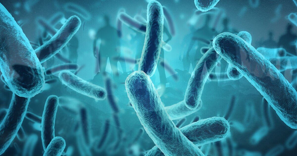 Millions at risk from killer 'zombie cells' - only one way to stop them