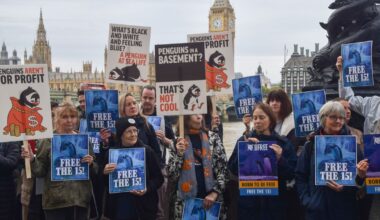 Reality of life for penguins without daylight pales against the wild | UK | News
