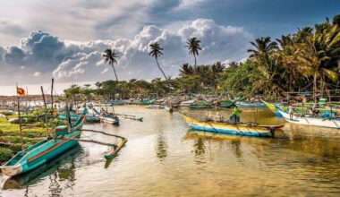 Panic in Sri Lanka as everyone is given Wednesdays off to cope with crisis | World | News