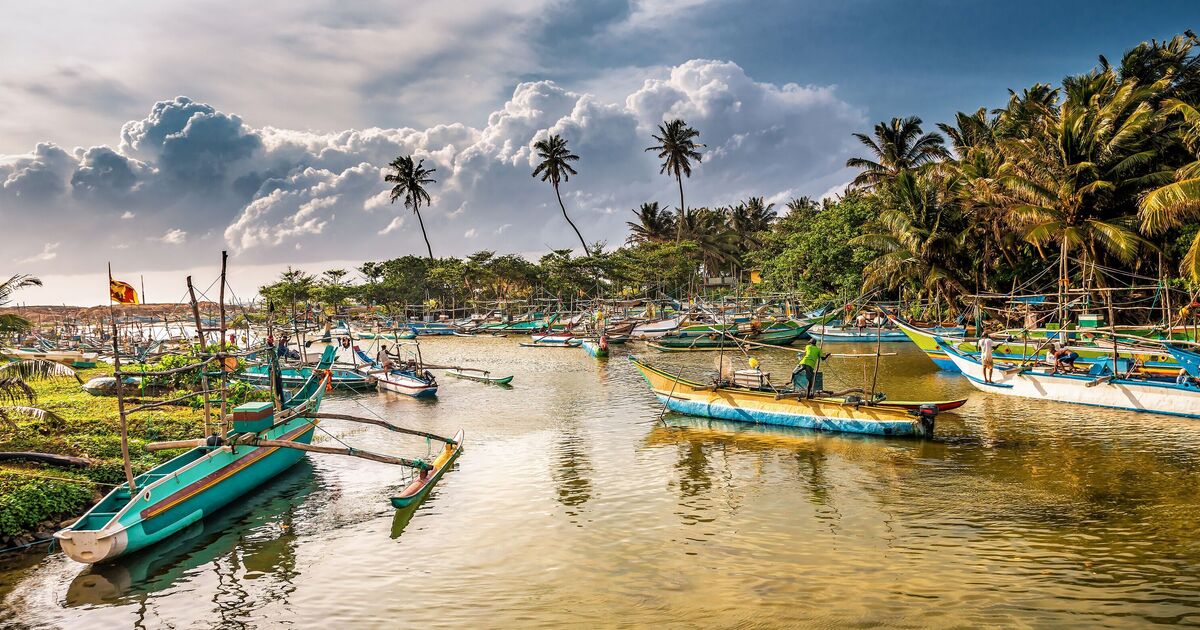 Panic in Sri Lanka as everyone is given Wednesdays off to cope with crisis | World | News