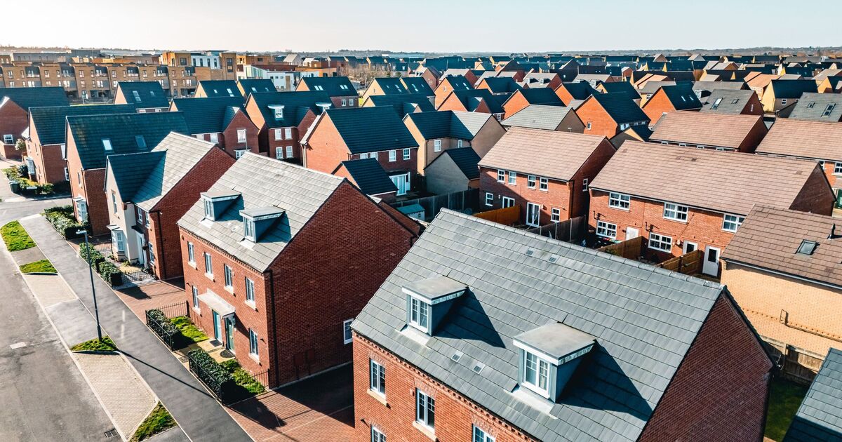 UK households could face shortages as demand for 1 item soars 182% | UK | News