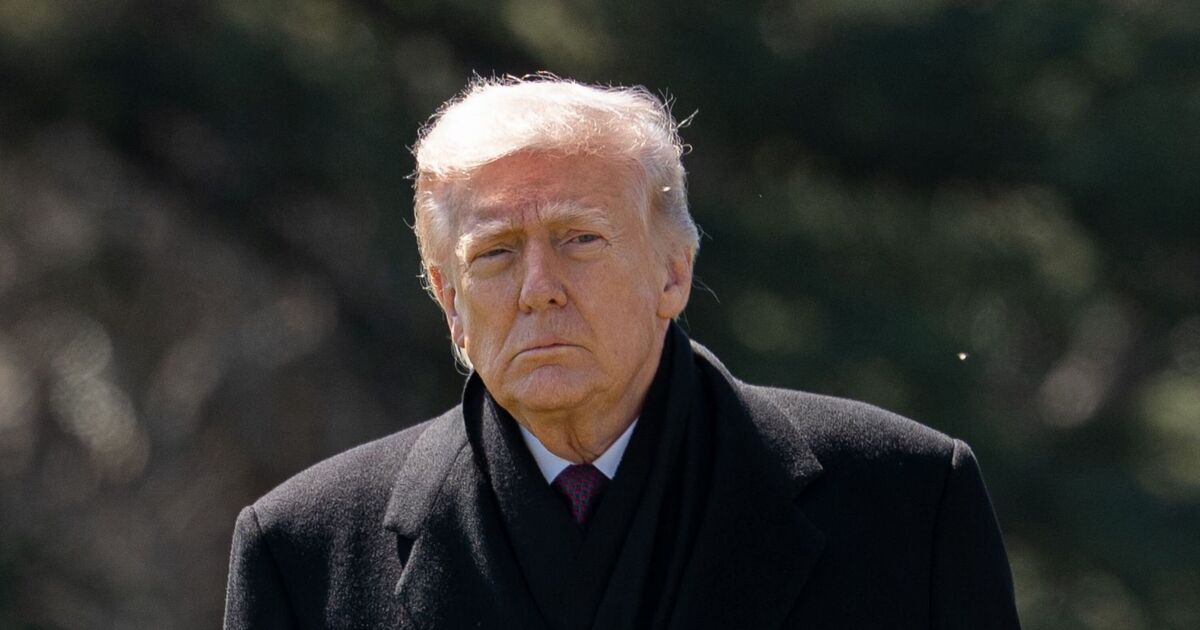 Fox News halts for breaking announcement - and it's bad news for Trump | TV & Radio | Showbiz & TV