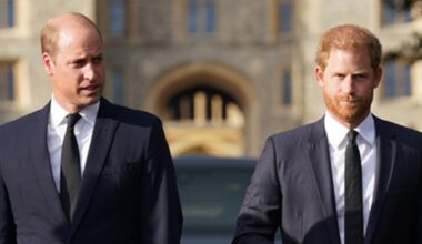 William's brutal 'spare' remark to Charles after Harry issued complaint | TV & Radio | Showbiz & TV