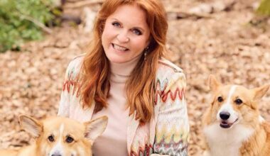 Sarah Ferguson 'in talks to clone Queen's corgis for TV' - ‘up for anything for cash' | Royal | News