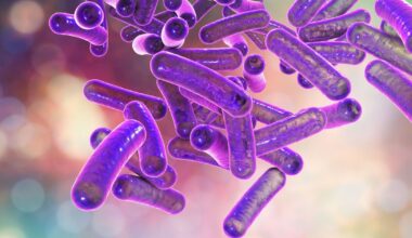 Urgent warning issued over rise in drug-resistant sex bug | UK | News