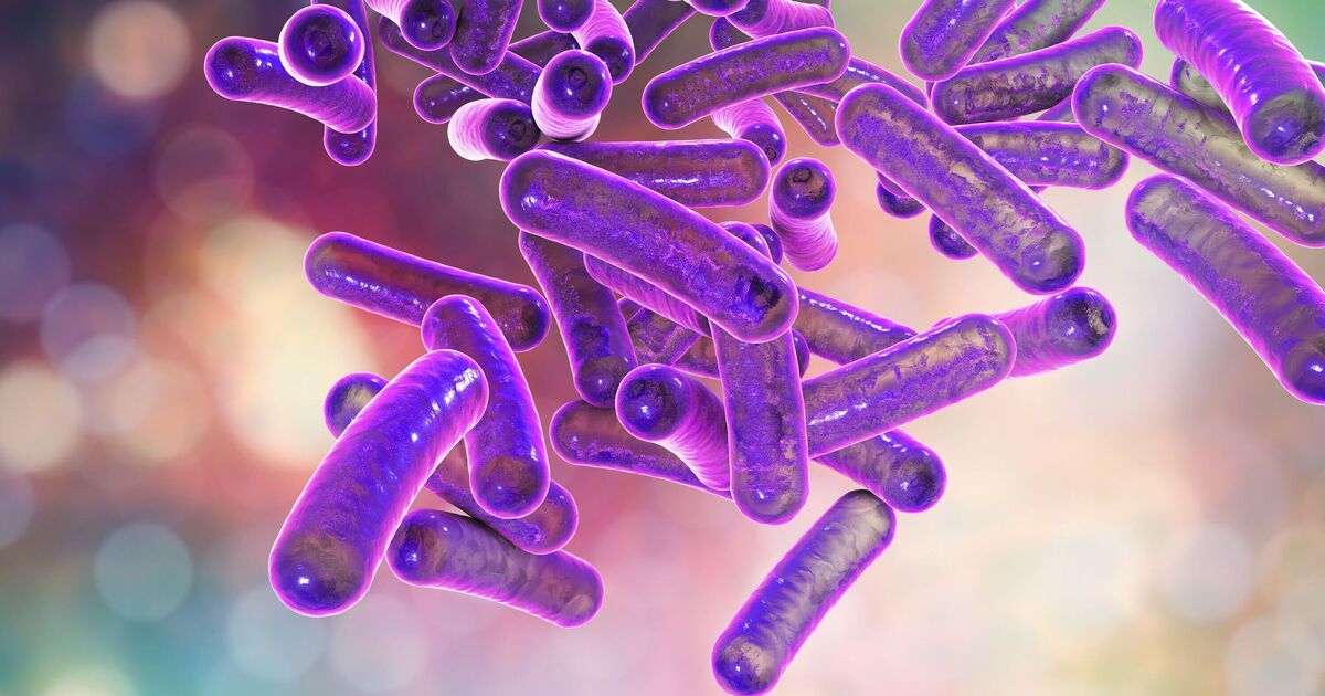 Urgent warning issued over rise in drug-resistant sex bug | UK | News