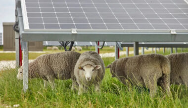 Yahoo lifestyle home