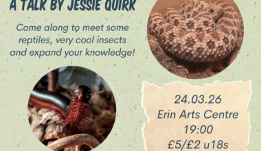 "I fell in love with animals that didn't get as much attention"