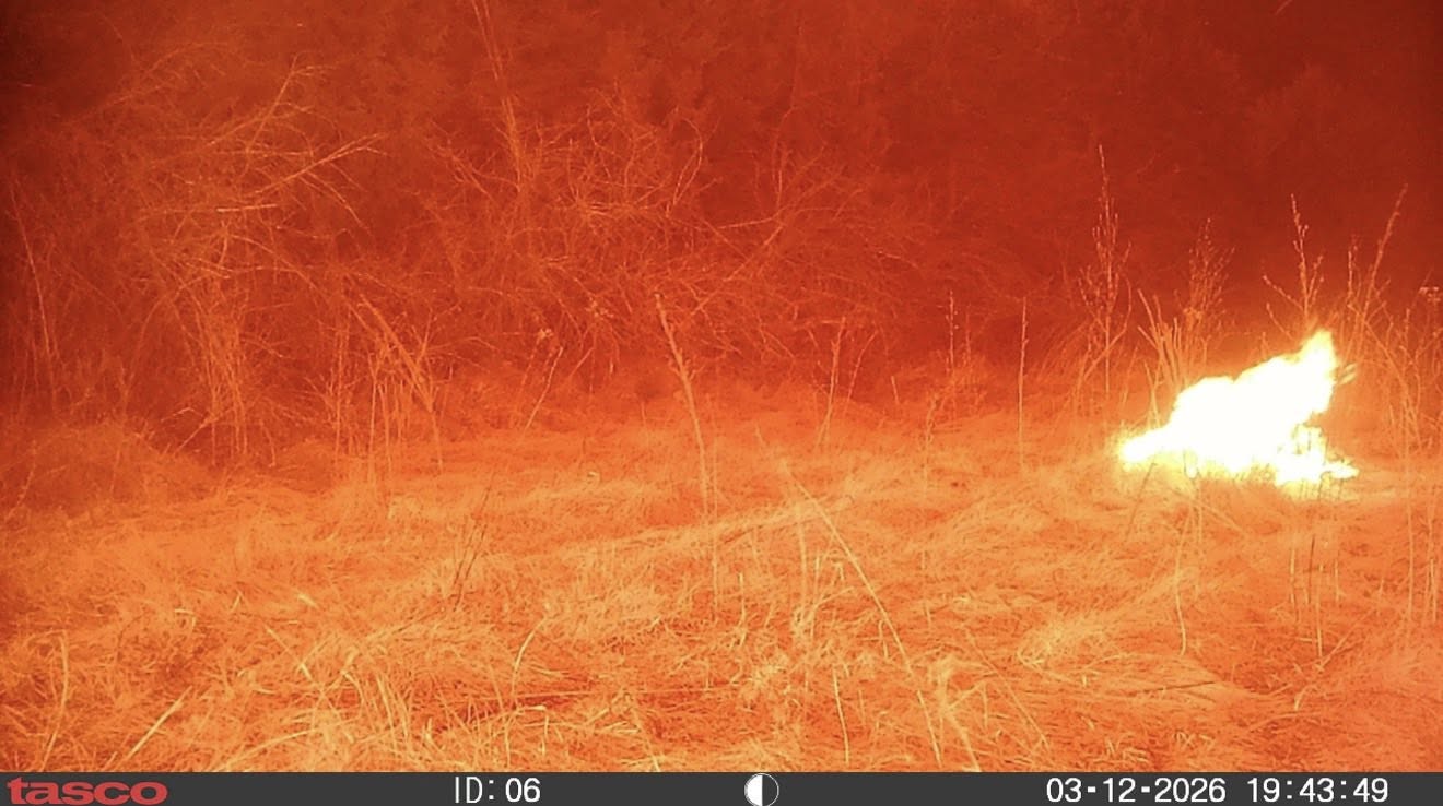 A trail camera went through one of the Nebraska wildfires on March 12, 2026