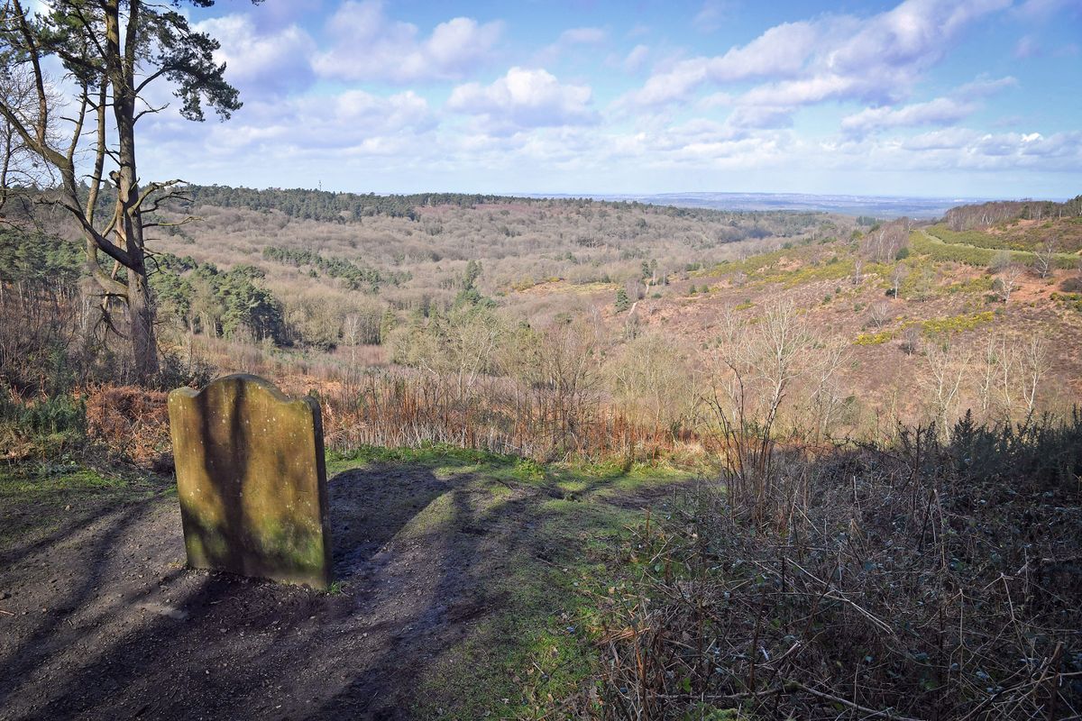 The Devil's Punchbowl in Hindhead is included in the new Wealden Heaths NNR and its arguably Surrey's most iconic area of nature