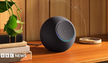 A spherical black Amazon Echo speaker on a table with a houseplant next to it
