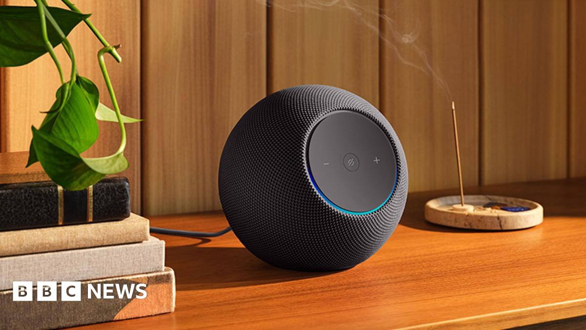A spherical black Amazon Echo speaker on a table with a houseplant next to it