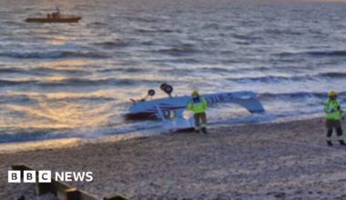 Picture of Lando Norris, Alexandra Saint Mleux, Lisa, Lewis Hamilton, Serena Williams, Charles Leclerc and Kim Kardashian