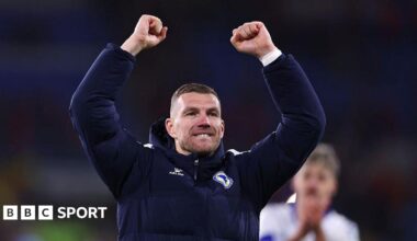 Edin Dzeko celebrates scoring against Wales