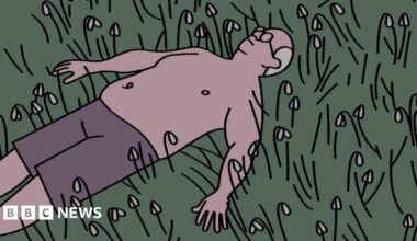 An illustration shows a man walking through a dense forest. The scene is filled with tall, dark tree trunks stretching upward, with layered foliage and hills visible in the background. The person is wearing a short‑sleeved pink shirt, knee‑length shorts, and sneakers, and is carrying a large backpack with rolled gear attached. The ground is covered in earth tones and scattered undergrowth.