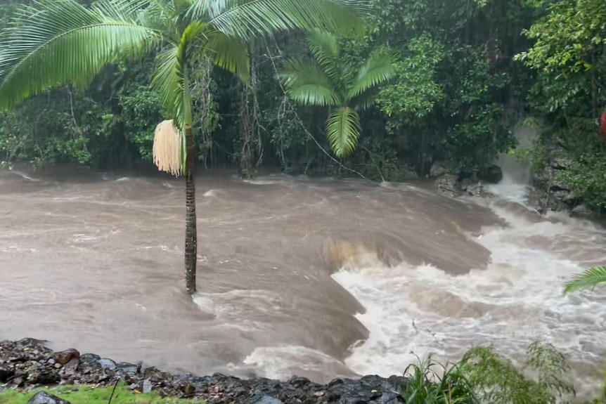 A fast moving creek of brown water moves through a lush landscape. 